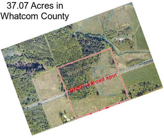 37.07 Acres in Whatcom County