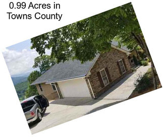 0.99 Acres in Towns County