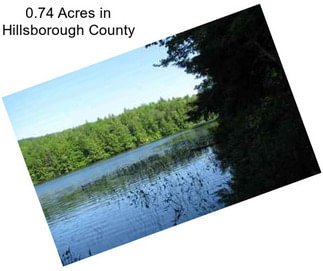 0.74 Acres in Hillsborough County