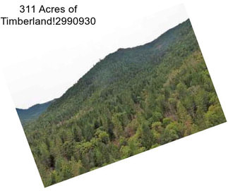 311 Acres of Timberland!2990930