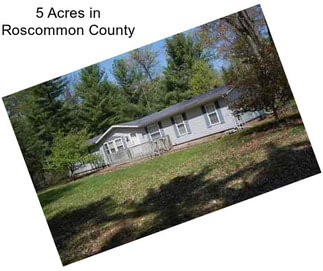 5 Acres in Roscommon County