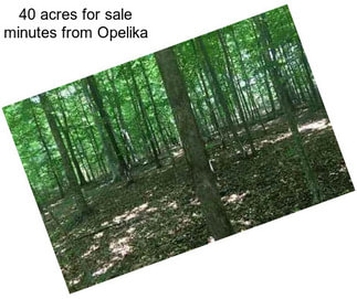 40 acres for sale minutes from Opelika