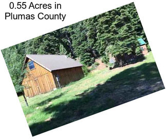 0.55 Acres in Plumas County