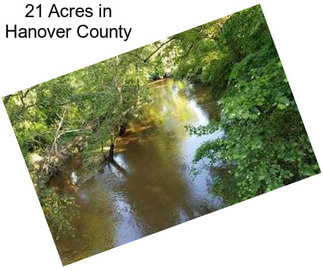 21 Acres in Hanover County