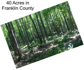 40 Acres in Franklin County