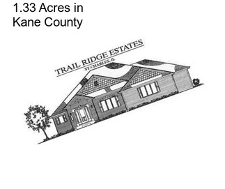 1.33 Acres in Kane County