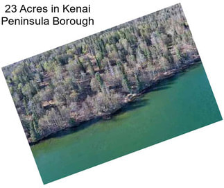 23 Acres in Kenai Peninsula Borough