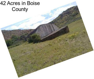 42 Acres in Boise County
