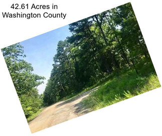 42.61 Acres in Washington County