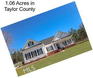 1.06 Acres in Taylor County