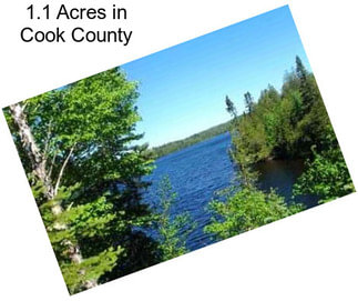 1.1 Acres in Cook County
