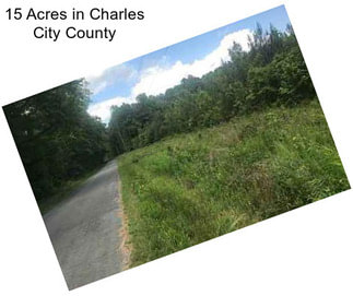 15 Acres in Charles City County