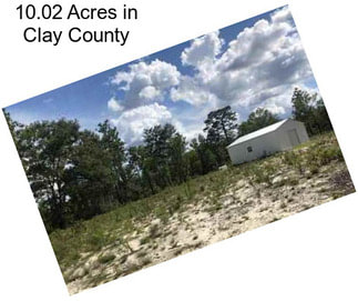 10.02 Acres in Clay County