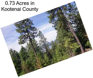 0.73 Acres in Kootenai County