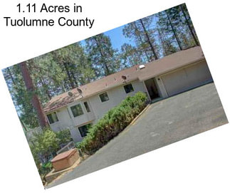 1.11 Acres in Tuolumne County