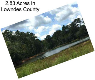 2.83 Acres in Lowndes County