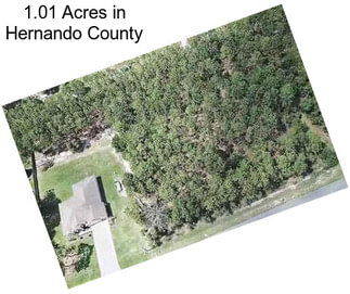 1.01 Acres in Hernando County