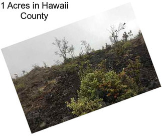 1 Acres in Hawaii County