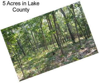 5 Acres in Lake County