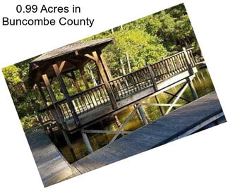0.99 Acres in Buncombe County
