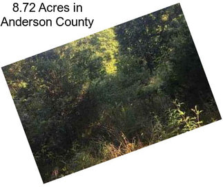 8.72 Acres in Anderson County