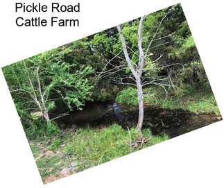 Pickle Road Cattle Farm