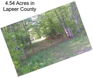 4.54 Acres in Lapeer County