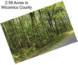 2.59 Acres in Wicomico County