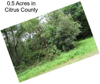 0.5 Acres in Citrus County