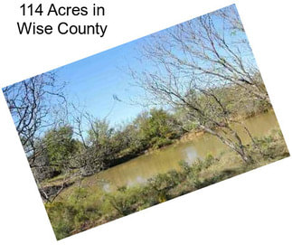 114 Acres in Wise County