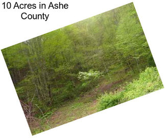 10 Acres in Ashe County
