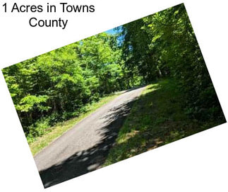 1 Acres in Towns County
