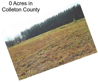 0 Acres in Colleton County