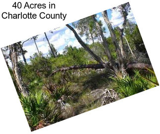 40 Acres in Charlotte County