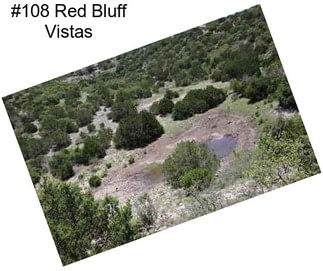 #108 Red Bluff Vistas
