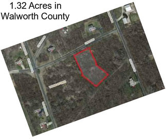 1.32 Acres in Walworth County