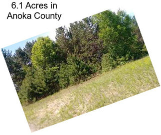 6.1 Acres in Anoka County