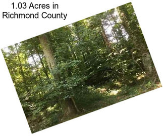 1.03 Acres in Richmond County