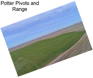 Potter Pivots and Range
