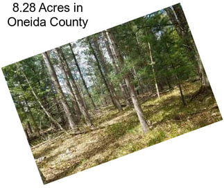 8.28 Acres in Oneida County