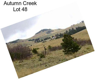 Autumn Creek Lot 48