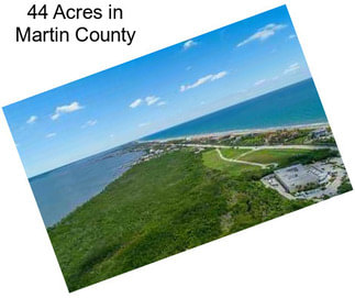 44 Acres in Martin County