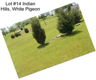 Lot #14 Indian Hills, White Pigeon