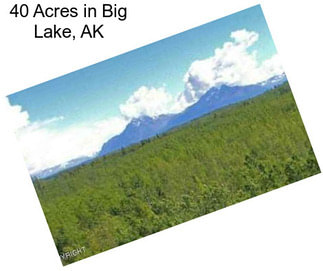 40 Acres in Big Lake, AK