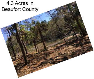 4.3 Acres in Beaufort County