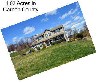 1.03 Acres in Carbon County