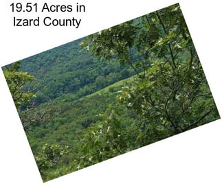 19.51 Acres in Izard County