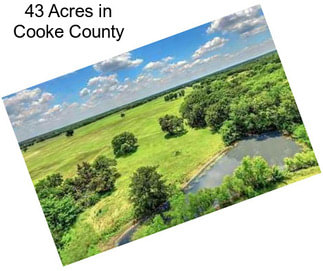 43 Acres in Cooke County