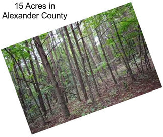 15 Acres in Alexander County