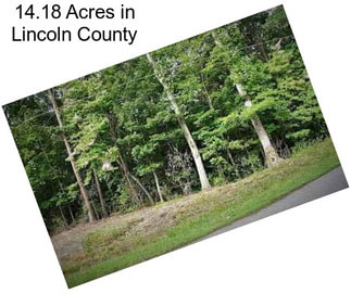14.18 Acres in Lincoln County